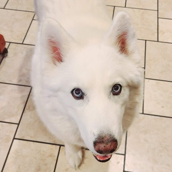 Meet your Posher, Joan - Picture 10 of 15